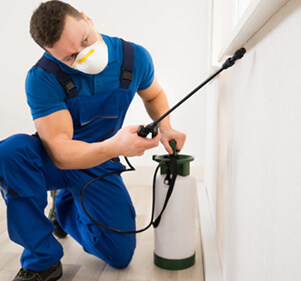 شركة مكافحة حشرات