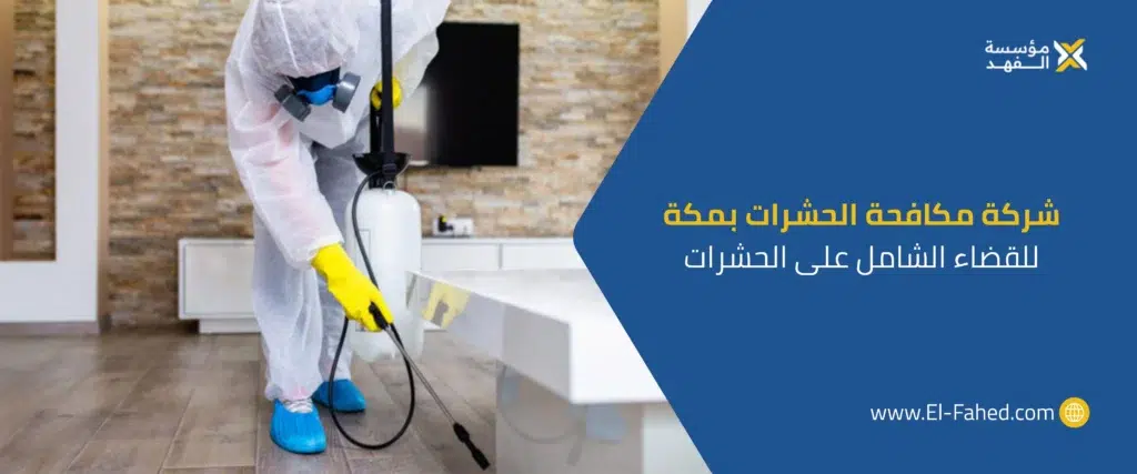 شركة مكافحة الحشرات بمكة