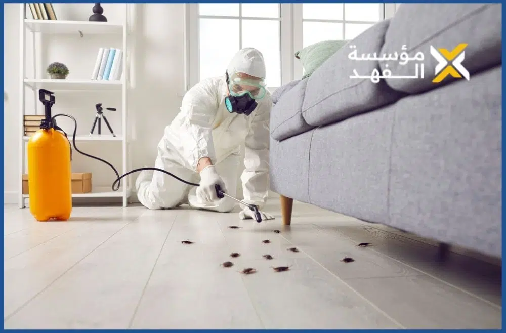 شركة مكافحة الصراصير بمكة