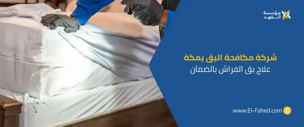 شركة مكافحة البق بمكة