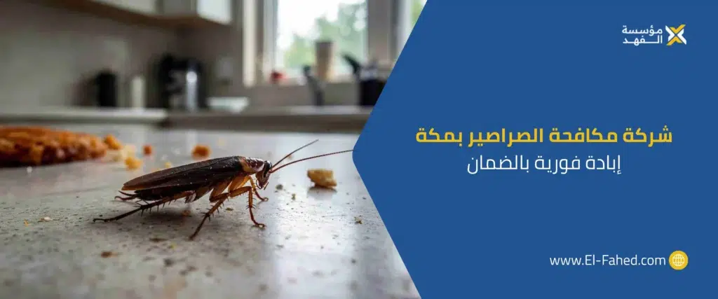 شركة مكافحة الصراصير بمكة